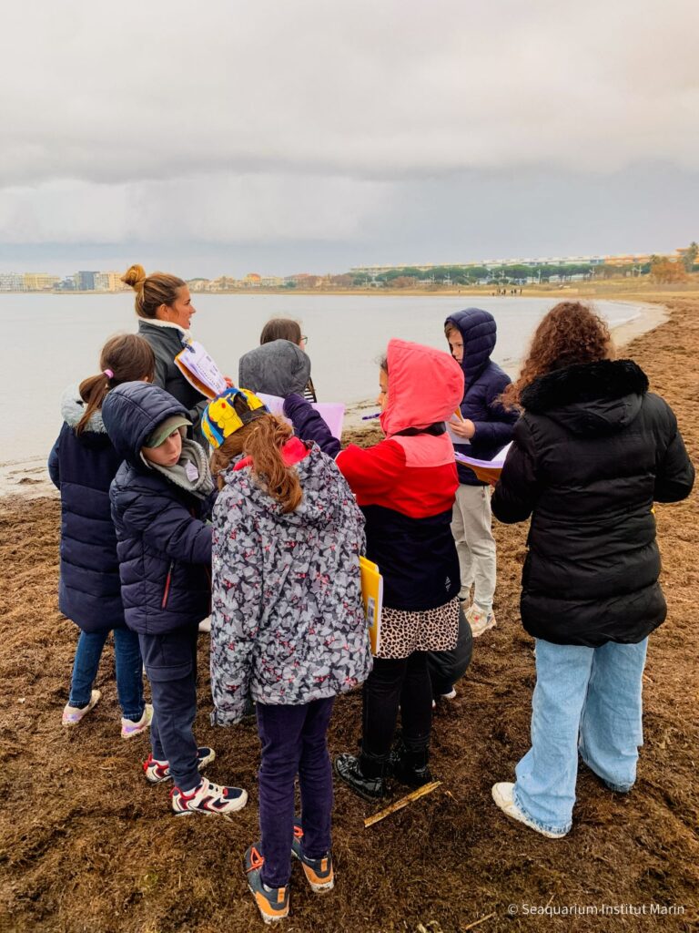 Aire Marine Educative Sortie Ornithologique Avec Les l ves De L 